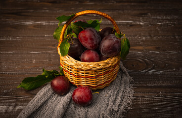 Basket of fresh juicy ripe plums with leaves on the old brown table. Healthy vegeterian food. Summer fruity harvest. Gifts from the gardens. 