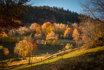 The colors and texture of autumn in beautiful sceneries, landscape, flowers and leaves
