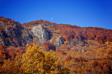 The colors and texture of autumn in beautiful sceneries, landscape, flowers and leaves
