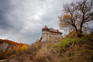 The colors and texture of autumn in beautiful sceneries, landscape, flowers and leaves
