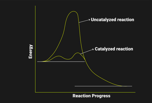 Catalyst: A Catalyst Is A Substance That Speeds Up The Rate Of A Chemical Reaction