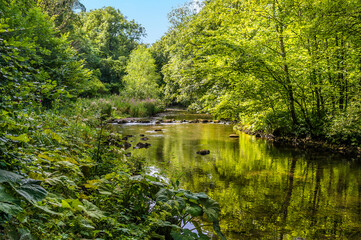 A view up the River Wye from the Monsal Trail in Derbyshire, UK in summertime