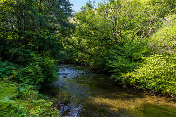 A view of a shady section of the River Wye from the Monsal Trail in Derbyshire, UK in summertime