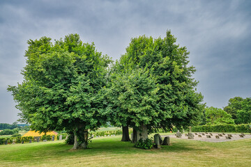 Fototapeta premium Brahetrolleborg Castle in Korinth on Funen in Denmark