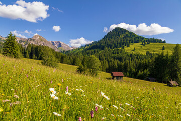 Allgäu - Urlaub - Alpen - Hütte - Frühling