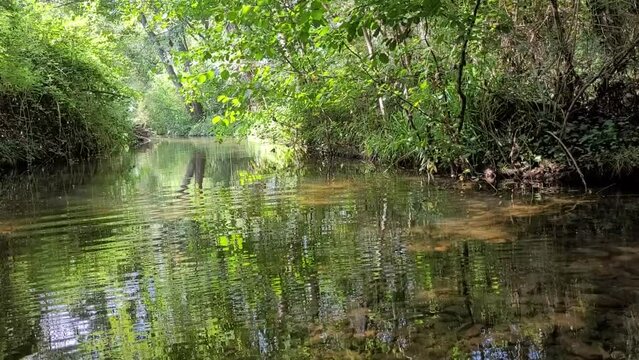rivi&egrave;re pr&egrave;s de B&eacute;ziers, nature Occitanie, Sud de la France, bassin versant H&eacute;rault, ripisylve, Languedoc Roussillon, rivi&egrave;re en &eacute;t&eacute;, zen, d&eacute;tente, cool, vid&eacute;o nature