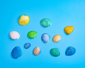 colorful shells