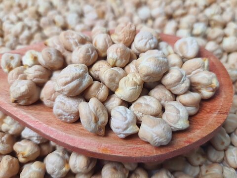 Chickpeas (Cicer arietinum) closeup in a wooden spoon, blurred background, selective focus. It is also known by the names: Gravan&ccedil;o, Herbanzo, Chicken Pea or Bengal Pea or Duck Grain.
