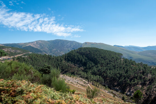 Vista panor&acirc;mica sobre as montanhas com alguns pinheiros e com um parque e&oacute;lico ao fundo na Serra do Alv&atilde;o em Portugal