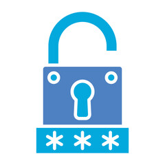 Password Key Glyph Two Color Icon