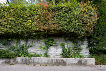 Hecke, Mauer und Strasse