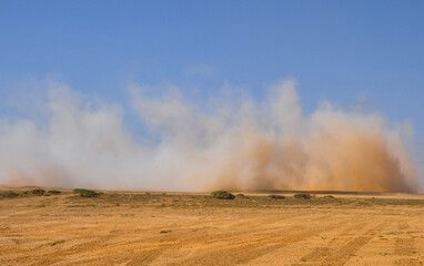 Fototapeta na wymiar Dust storm in the Arabian desert