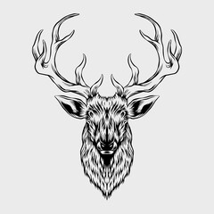 Deer head Illustration 