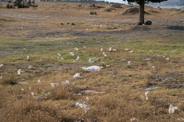 Rubbish from garbage dump spread by wind in rural area on summer day. Scattered plastic bottles and...