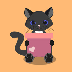 Obraz premium black cat with gift pink box, black cat with blue eyes