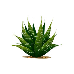 Sentry plant agave americana isolated cactus cartoon icon. Vector maguey or American aloe succulent flower growing in desert in sandy soil. Botanical herb exotic agave. Century plant medical aloe vera