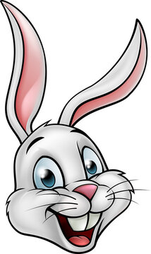Cartoon White Bunny Rabbit Face