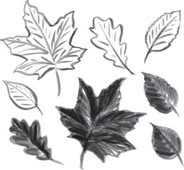 Set of hand sketch leaves. Vector illustration.