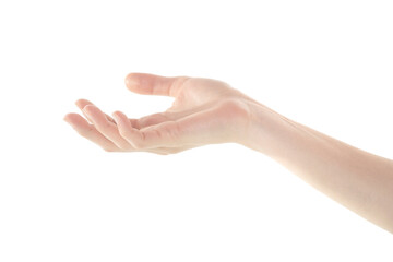 Female Hand is Presenting Something on Isolated White Background