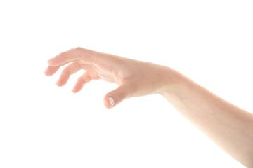 Female Hand is Catching Something on Isolated White Background