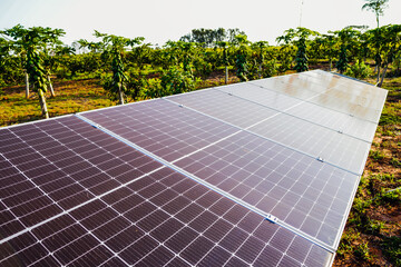 The solar panels for solar energy in a rural property in Mato Grosso do Sul. Solar energy has...
