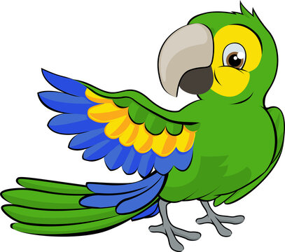 Cartoon Parrot Mascot