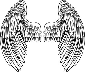 Pair of Angel or Eagle Wings