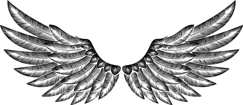 recommend clip art: Pair of Bird Wings