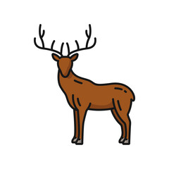 Deer wild animal with antlers isolated color outline icon. Vector north stag-deer with antlers, horned reindeer, elk or buck, German wildlife deer