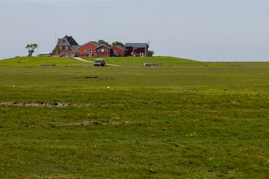 Warft auf Hallig Hooge
