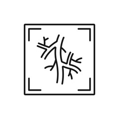 Computed tomography angiogram isolated CT test outline icon. Vector X-rays of blood vessels that go to heart, lung or brain, head or neck