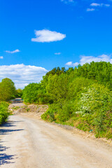 North German agricultural field forest trees nature landscape panorama Germany.