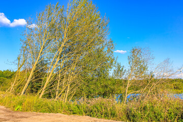 Beautiful quarry lake dredging pond lake blue turquoise water Germany.