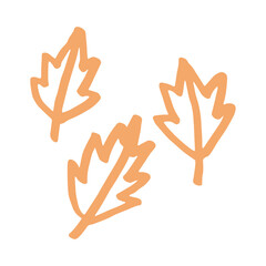 leaf hand drawn illustration design