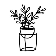 potted flowers hand drawn illustration design