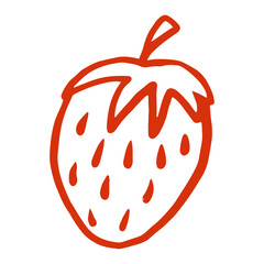 strawberries hand drawn illustration design