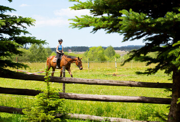 Naklejka premium Preteen girl riding a horse in a practice field
