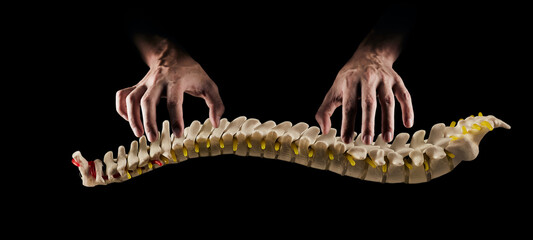 Manual therapist professionally treats human spine or backbone, on black background. Manual therapy...