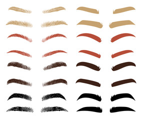 Different shapes and colors of eyebrows vector illustrations set. Thin and thick eyebrows of men or women, male or female brow types isolated on white background. Beauty, makeup, cosmetics concept