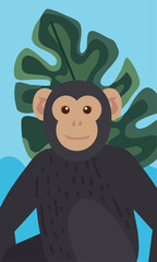 chimpanzee monkey with leaf