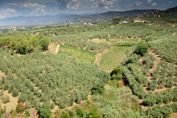 Firenze, Tuscany, Italy 08-26-2022. Vinci village, Leonardo birthplace, aerial view and bell tower...