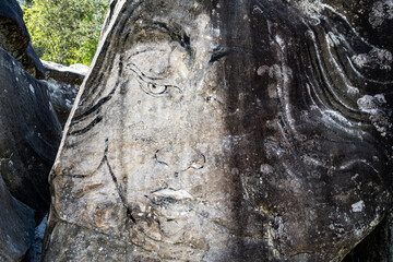 Face wall painting on boulder in Fontainbelau.