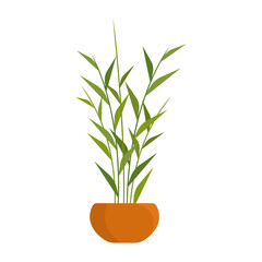 Small bamboo plant in pot flat vector illustration	