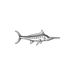 Marlin fish, ocean fishing and sea food vector icon. Ocean marlin or billfish, marine cuisine cooking food or restaurant menu fish, ocean fishery market catch in flat line