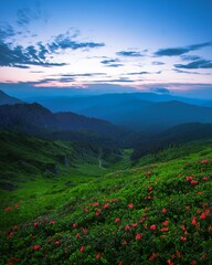 Fototapeta na wymiar scenic nature scenery, awesome sunset landscape, beautiful morning background in the mountains, Carpathian mountains, Ukraine, Europe 