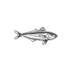 Sea brass isolated fish monochrome icon. Vector serranus cabrilla marine underwater aquatic underwater animal. Fish of family Serranida, barred sand bass, potato cod, redbanded perch marine seafood
