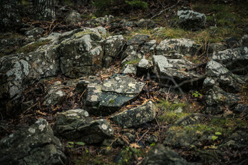 Fototapeta na wymiar moss covered rocks
