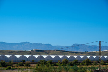 Polycarbonate multitunel type greenhouses in Almeria-Spain