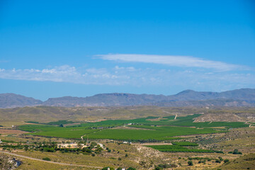 Fototapeta premium Rainfed farming converted to irrigation in Almería (Andalusia, Spain, Europe)