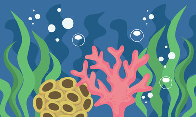 coral reef undersea nature